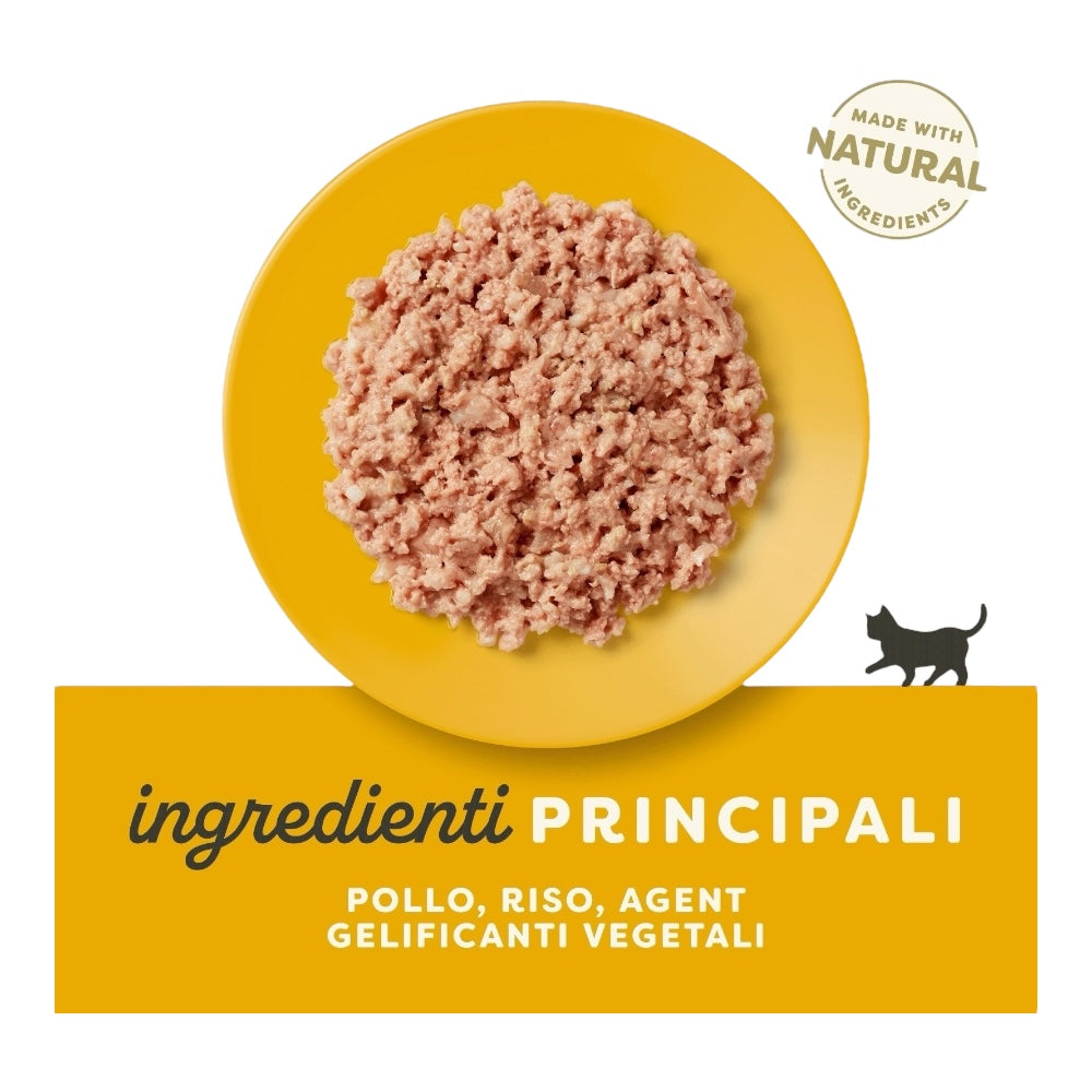 Applaws Gatto lattine Kitten Petto di Pollo in gelatina 24x70 g