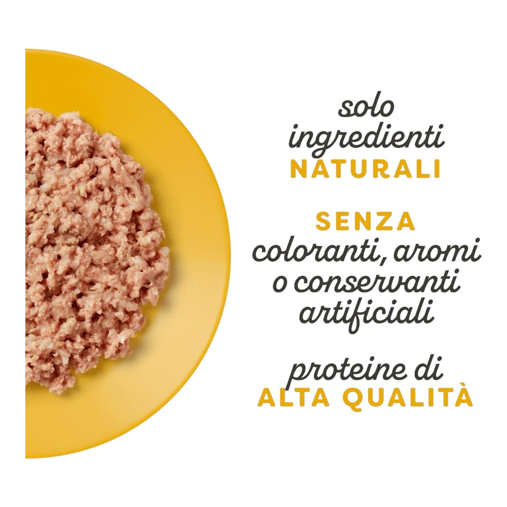 Applaws Gatto lattine Kitten Petto di Pollo in gelatina 24x70 g