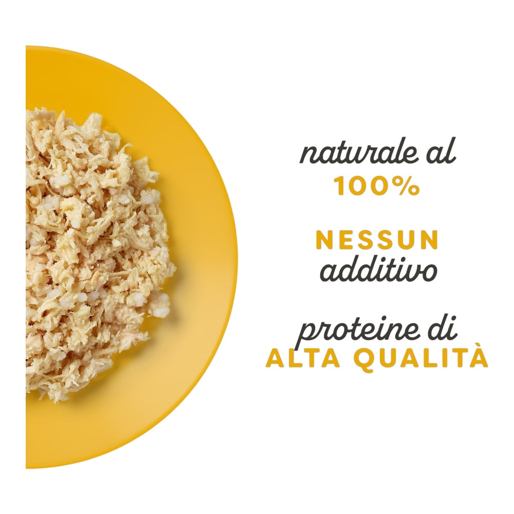 Applaws Gatto lattine Petto di Pollo in brodo