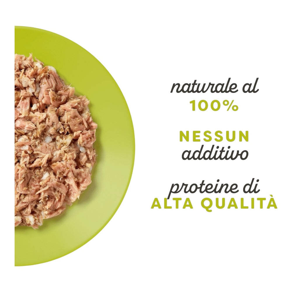 Applaws Gatto lattine Filetto di Tonno con Alghe in brodo