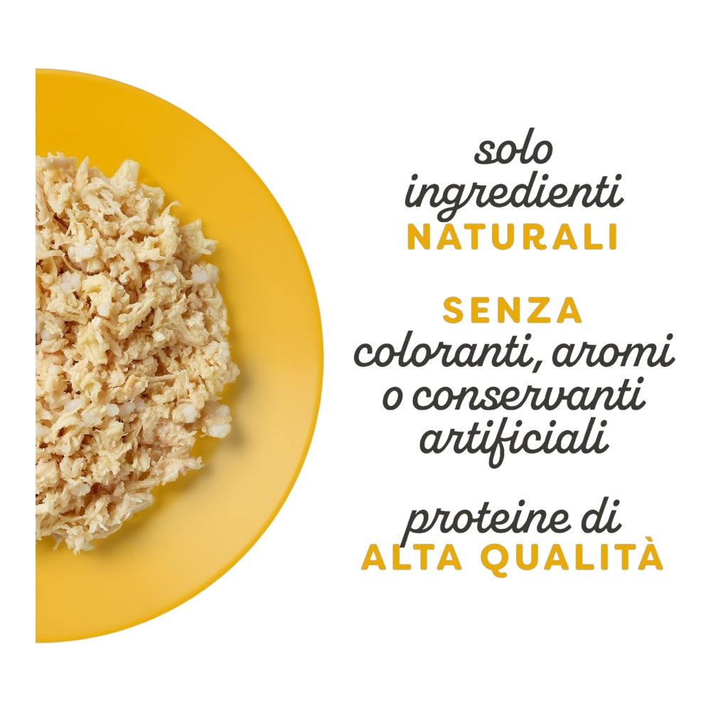 Applaws Gatto Multipack lattine Selezione Pollo in brodo 12x70g
