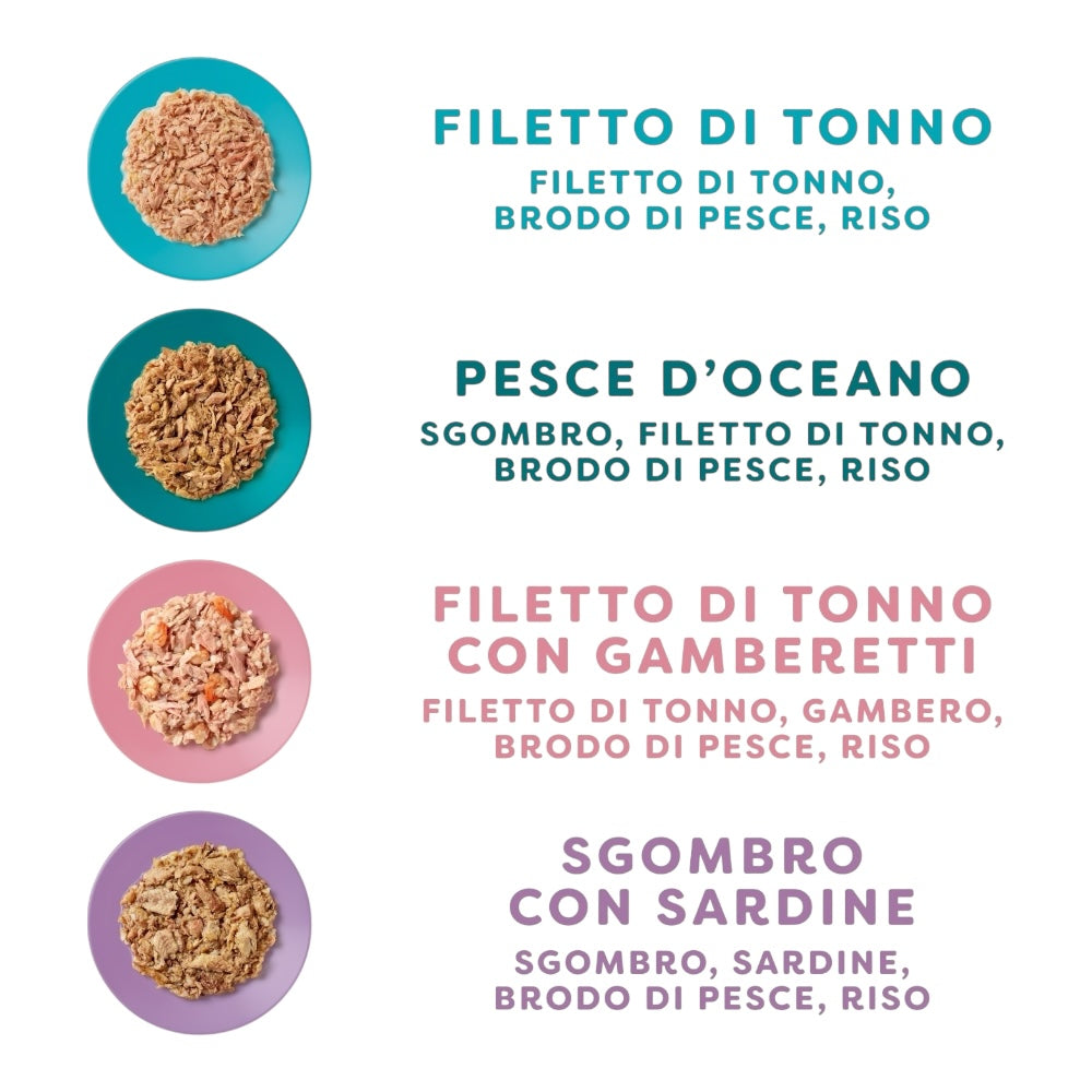 Applaws Gatto Multipack lattine Selezione Pesce in brodo 12x70g