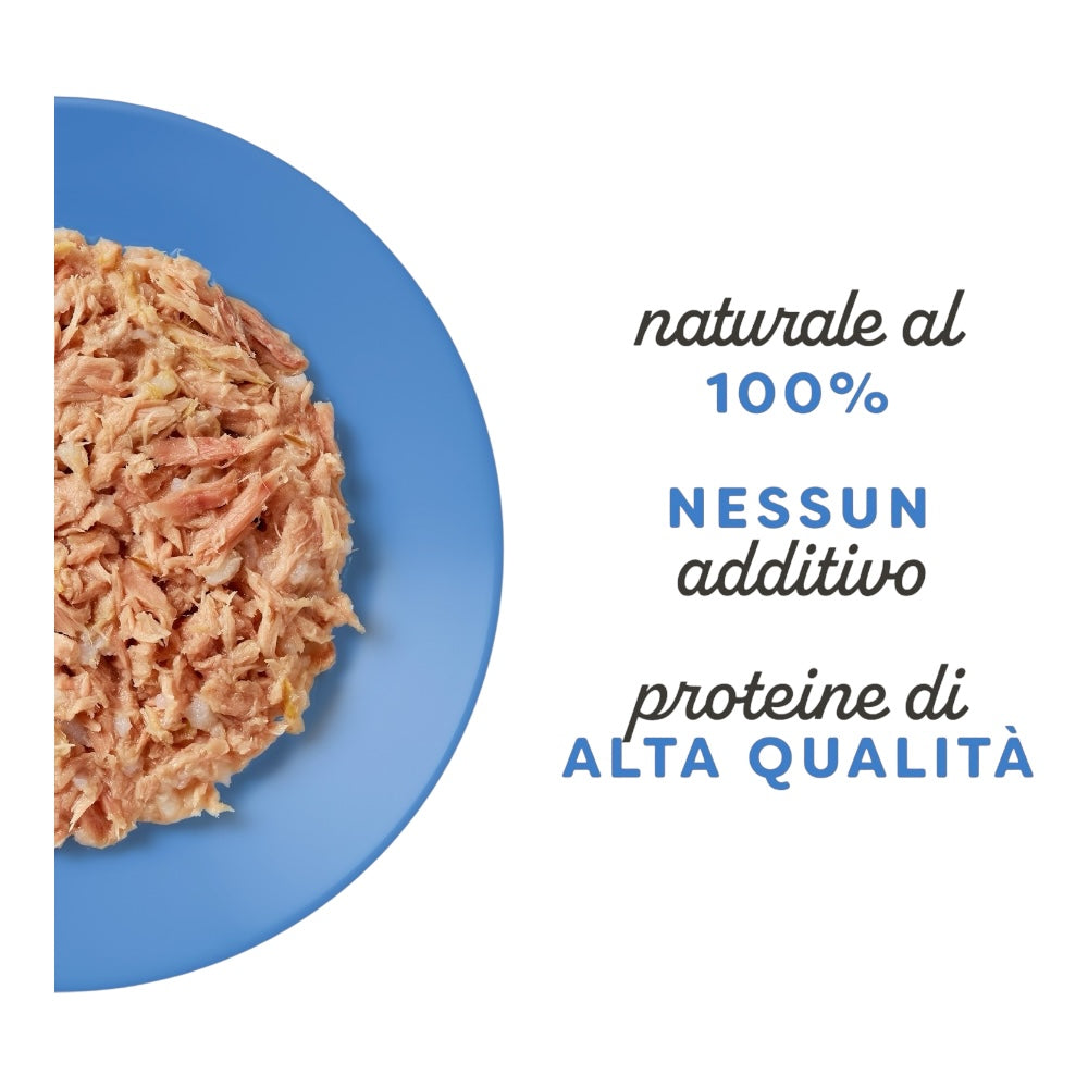 Applaws Gatto Multipack lattine Selezione Pesce in brodo 12x70g