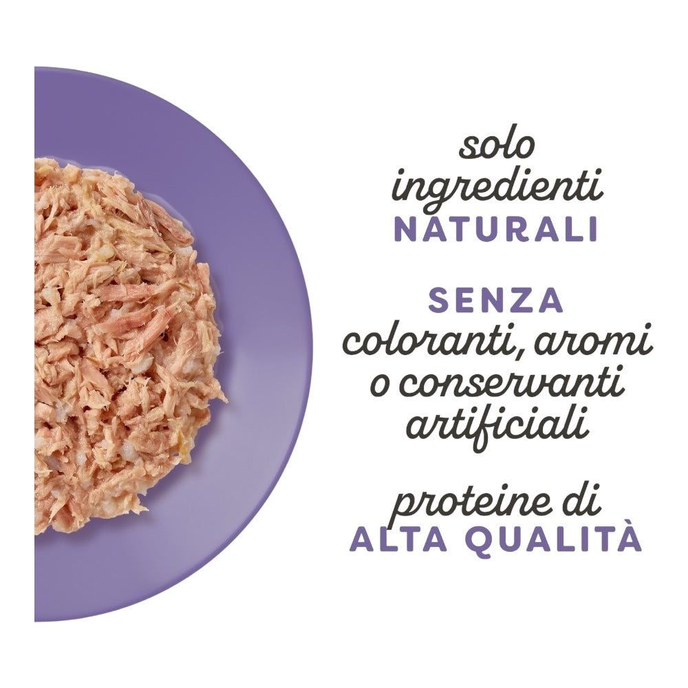 Applaws Gatto Multipack lattine Selezione Variety in brodo 12x70 g