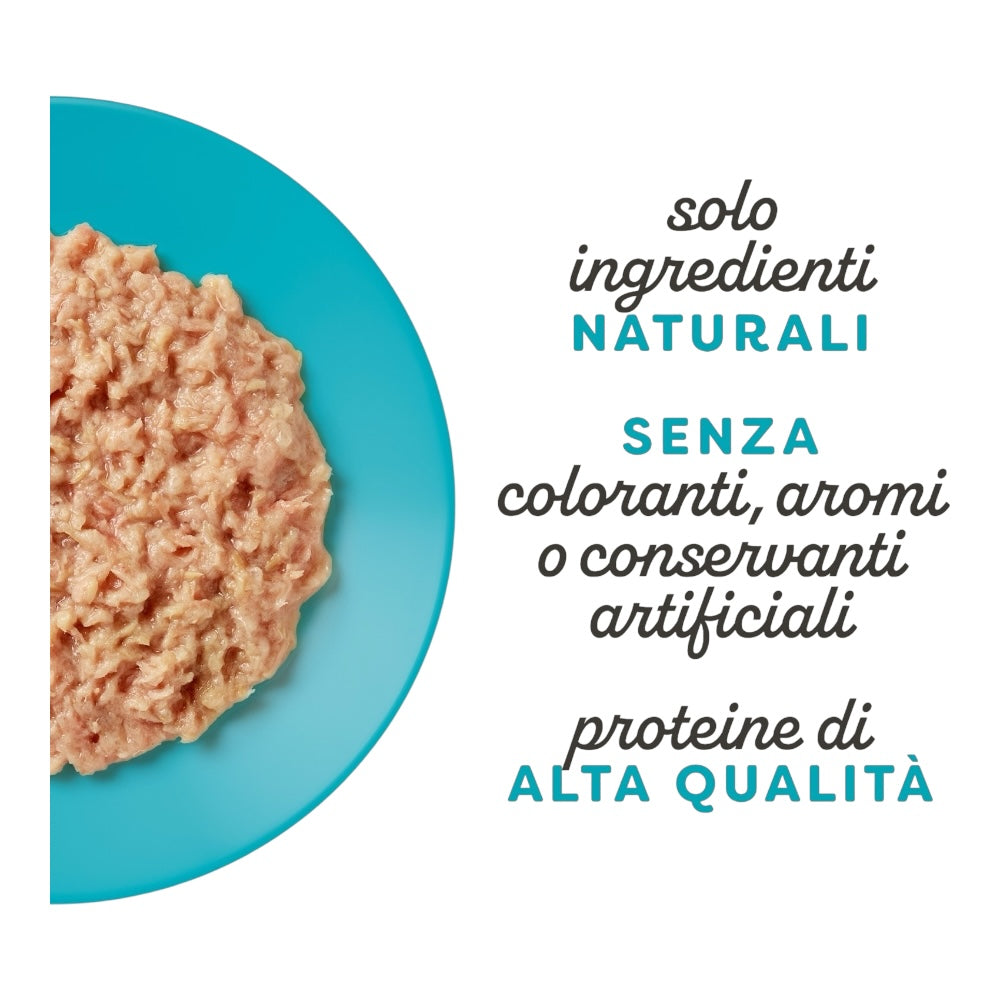 Applaws Gatto lattine Kitten Tonno in gelatina 24x70g