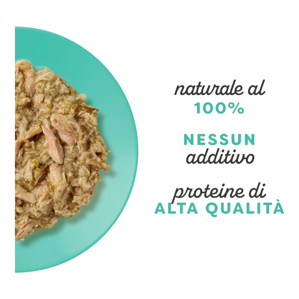 Applaws Gatto buste Filetto di Tonno con Acciughe in brodo 12x70g