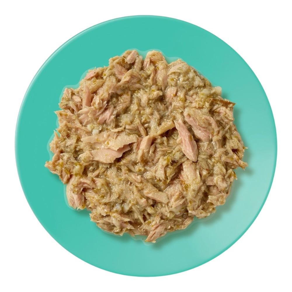 Applaws Gatto buste Filetto di Tonno con Acciughe in brodo 12x70g