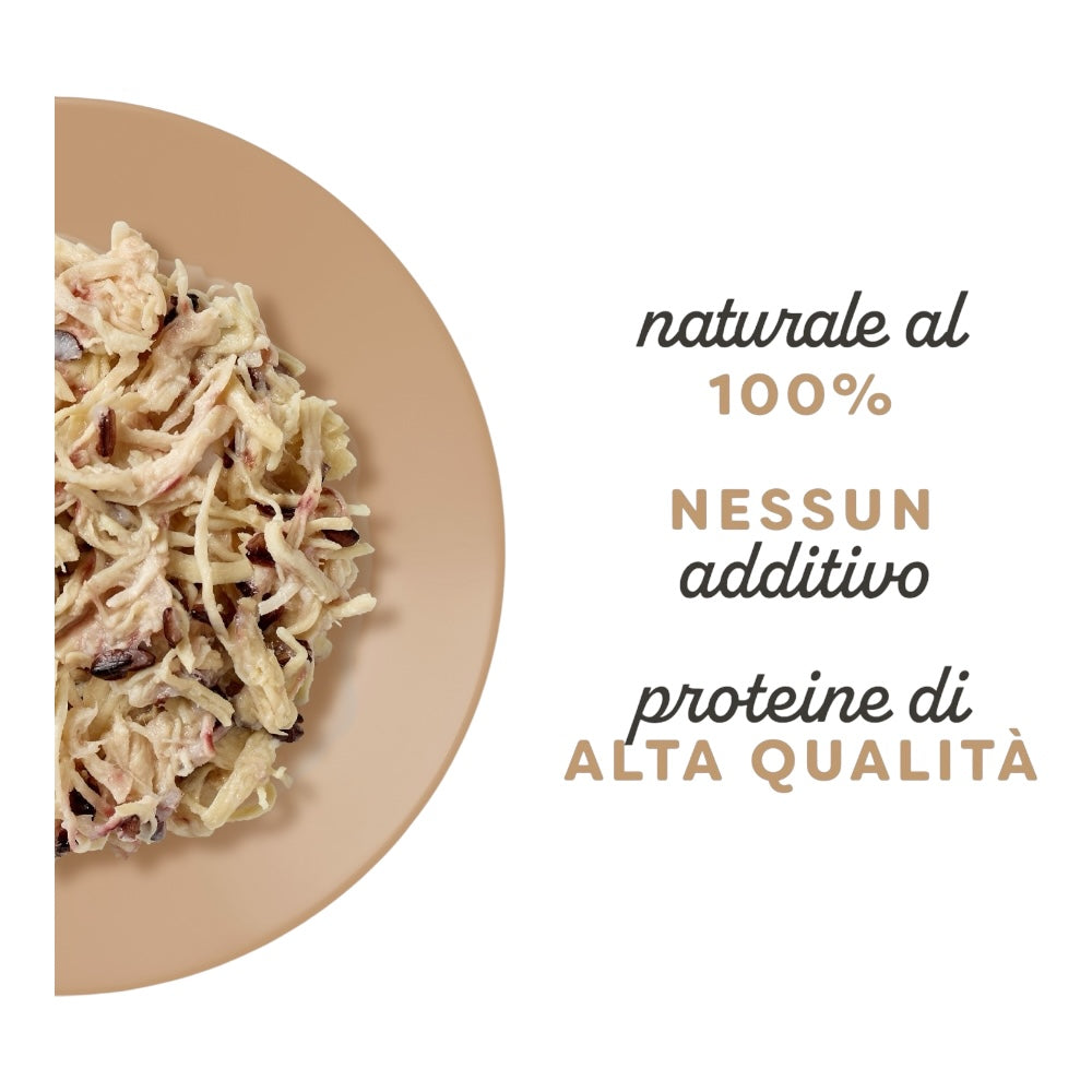 Applaws Gatto buste Petto di Pollo e Riso in brodo 12x70g