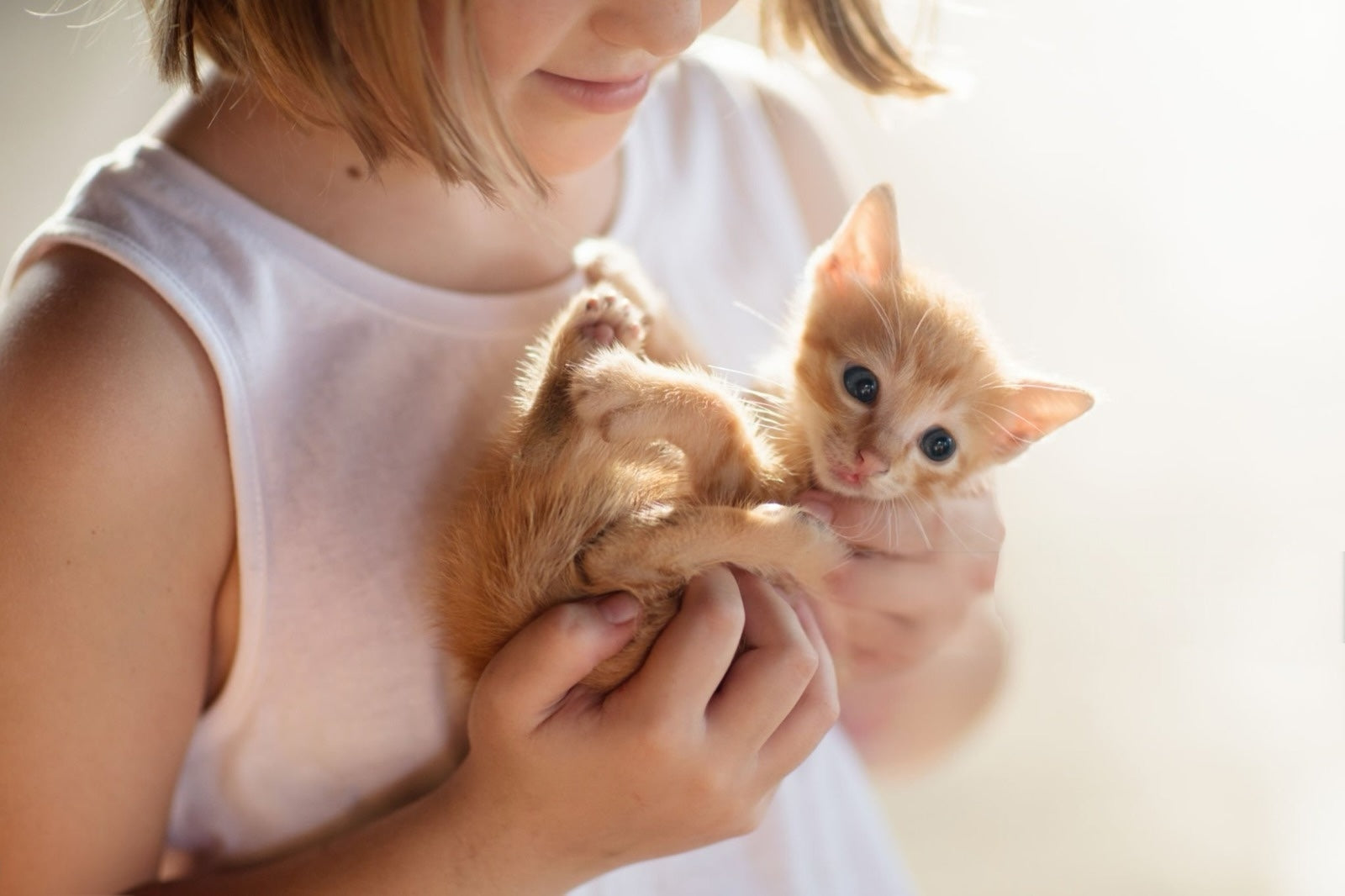 Gatti e bambini: convivenza felice e sicura