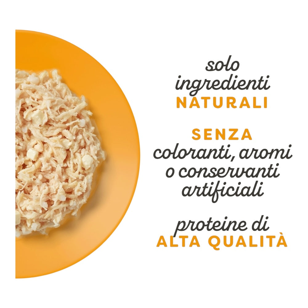 Applaws Gatto lattine Petto di Pollo con Formaggio in brodo