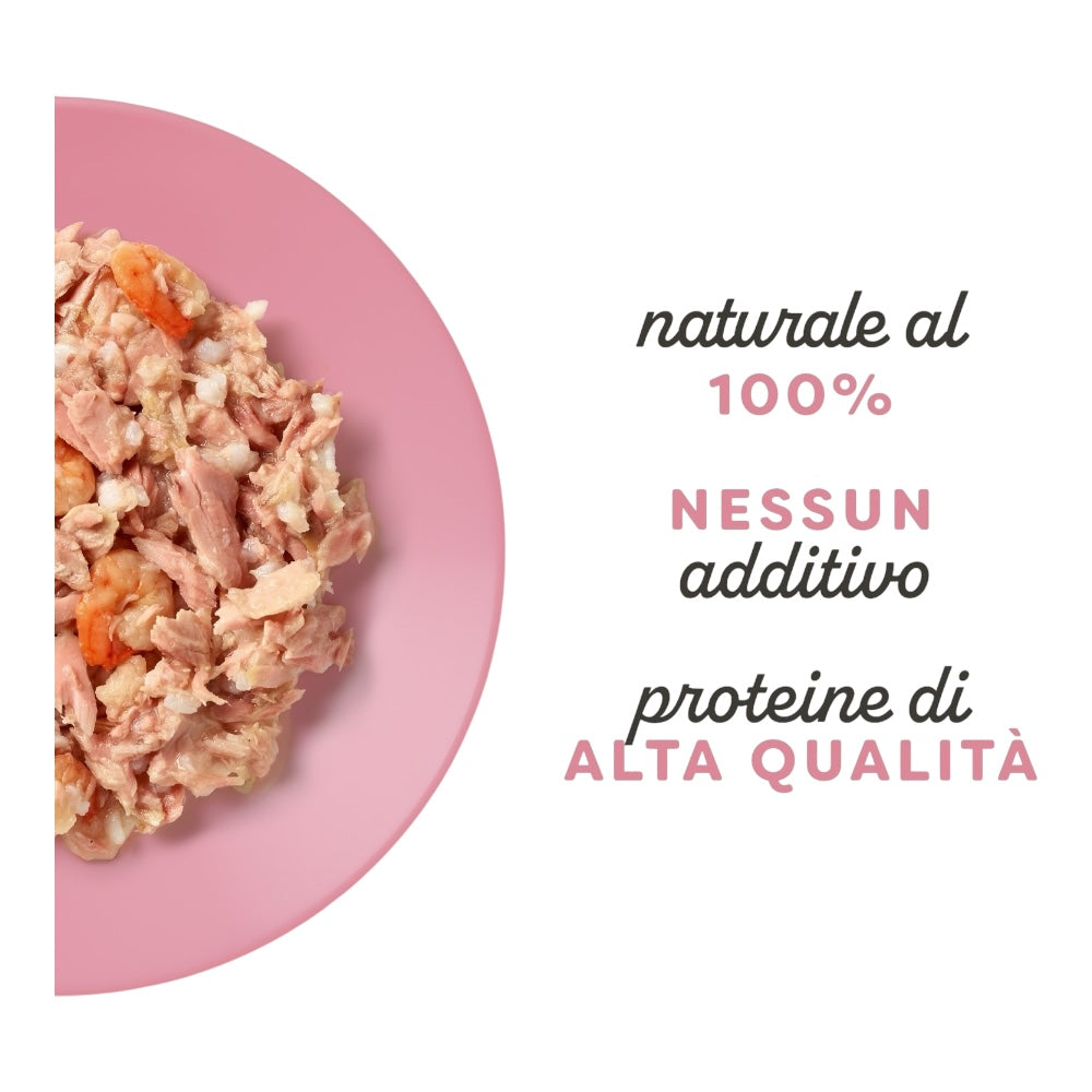 Applaws Gatto lattine Filetto di Tonno e Gamberetti in brodo